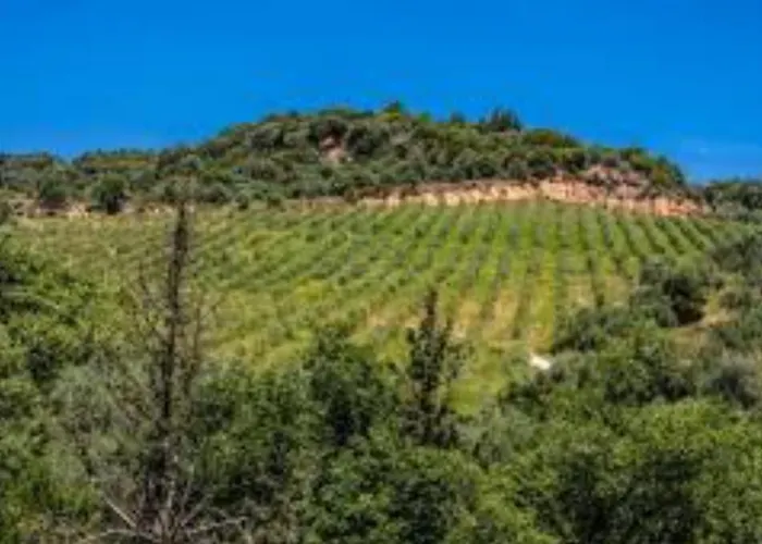 Mystras Inn Affittacamere